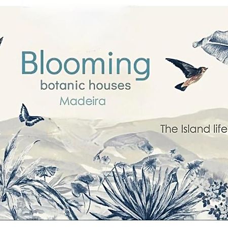 Blooming Botanic Houses Estreito Da Calheta 외부 사진