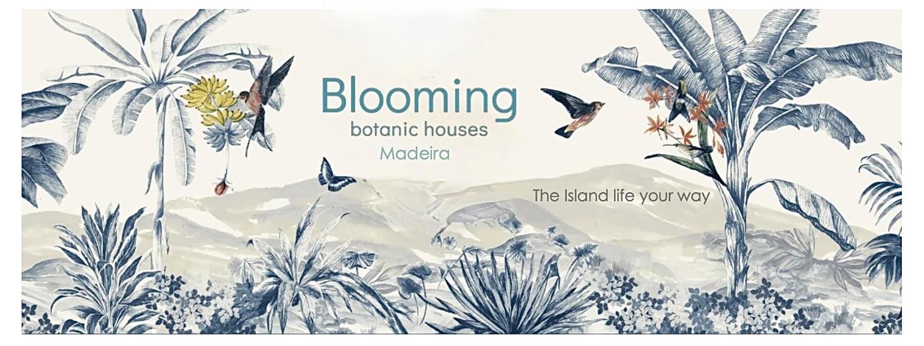 Blooming Botanic Houses Estreito Da Calheta 외부 사진