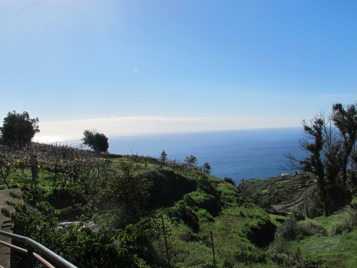 Blooming Botanic Houses Estreito Da Calheta 외부 사진