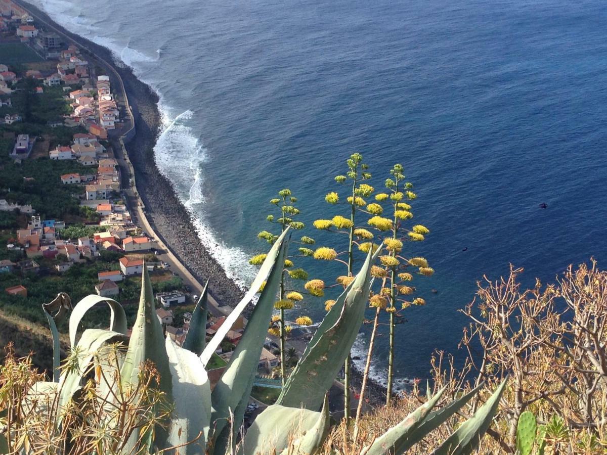 Blooming Botanic Houses Estreito Da Calheta 외부 사진