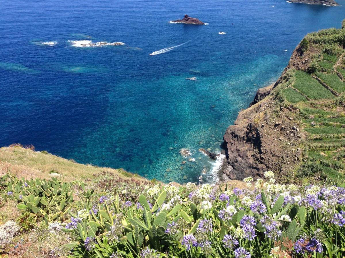 Blooming Botanic Houses Estreito Da Calheta 외부 사진