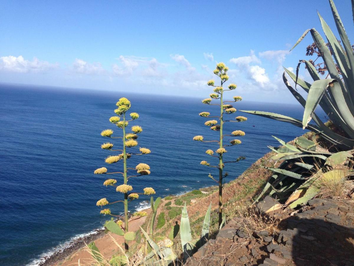 Blooming Botanic Houses Estreito Da Calheta 외부 사진