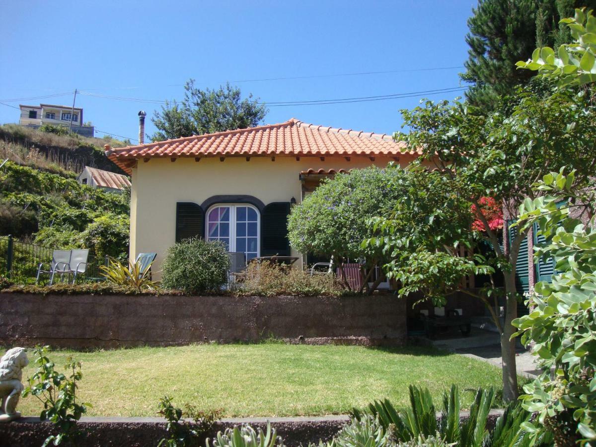 Blooming Botanic Houses Estreito Da Calheta 외부 사진
