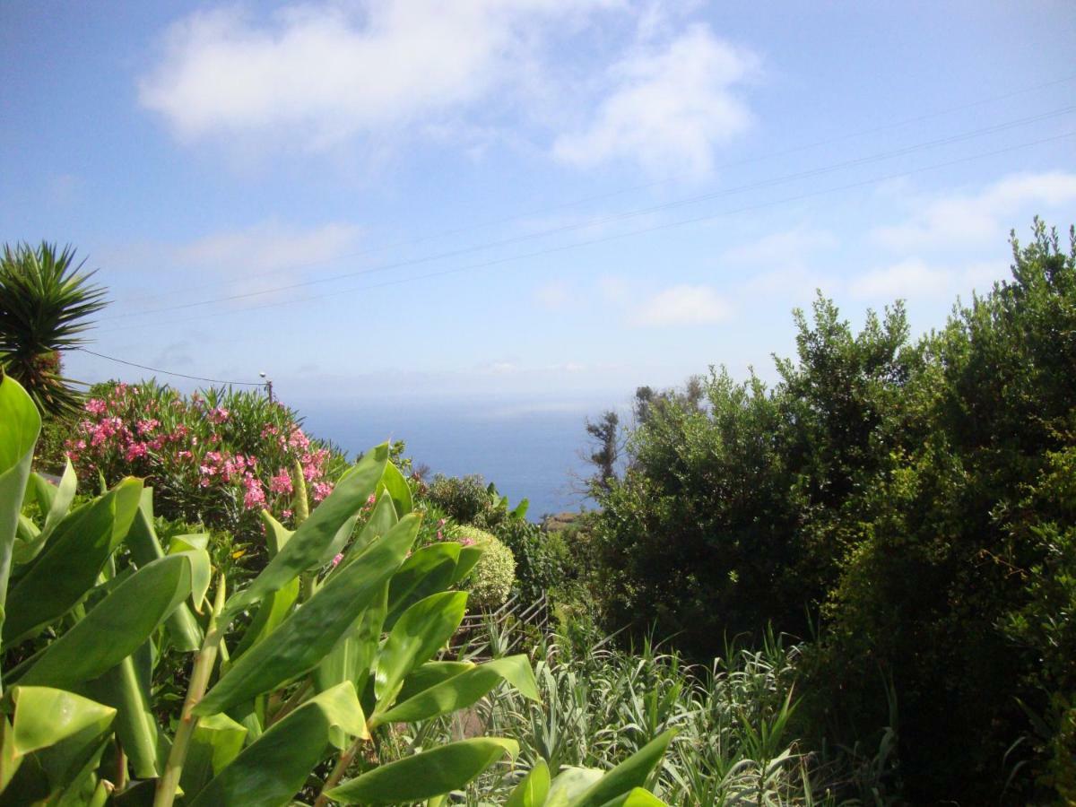 Blooming Botanic Houses Estreito Da Calheta 외부 사진