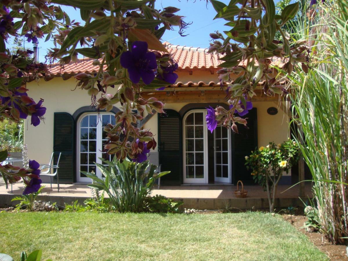 Blooming Botanic Houses Estreito Da Calheta 외부 사진